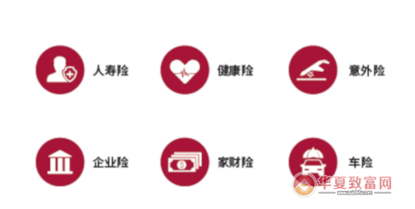 真意保险加盟